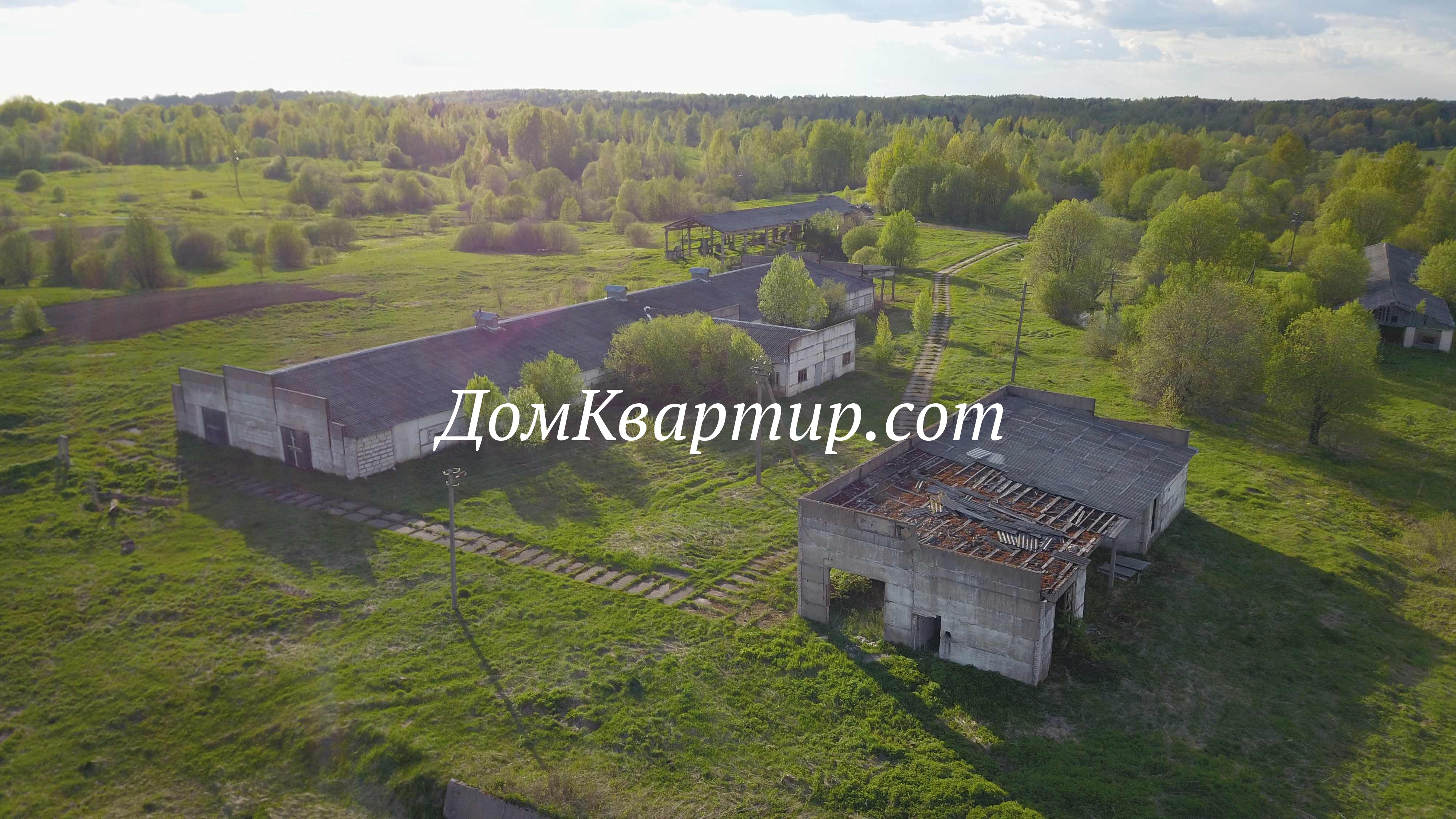 Коммерческая недвижимость в Торопце - Коммерческая недвижимость,  животноводческая ферма в дер. Крест Торопецкого района №80 — Агентство  недвижимости «ДомКвартир»